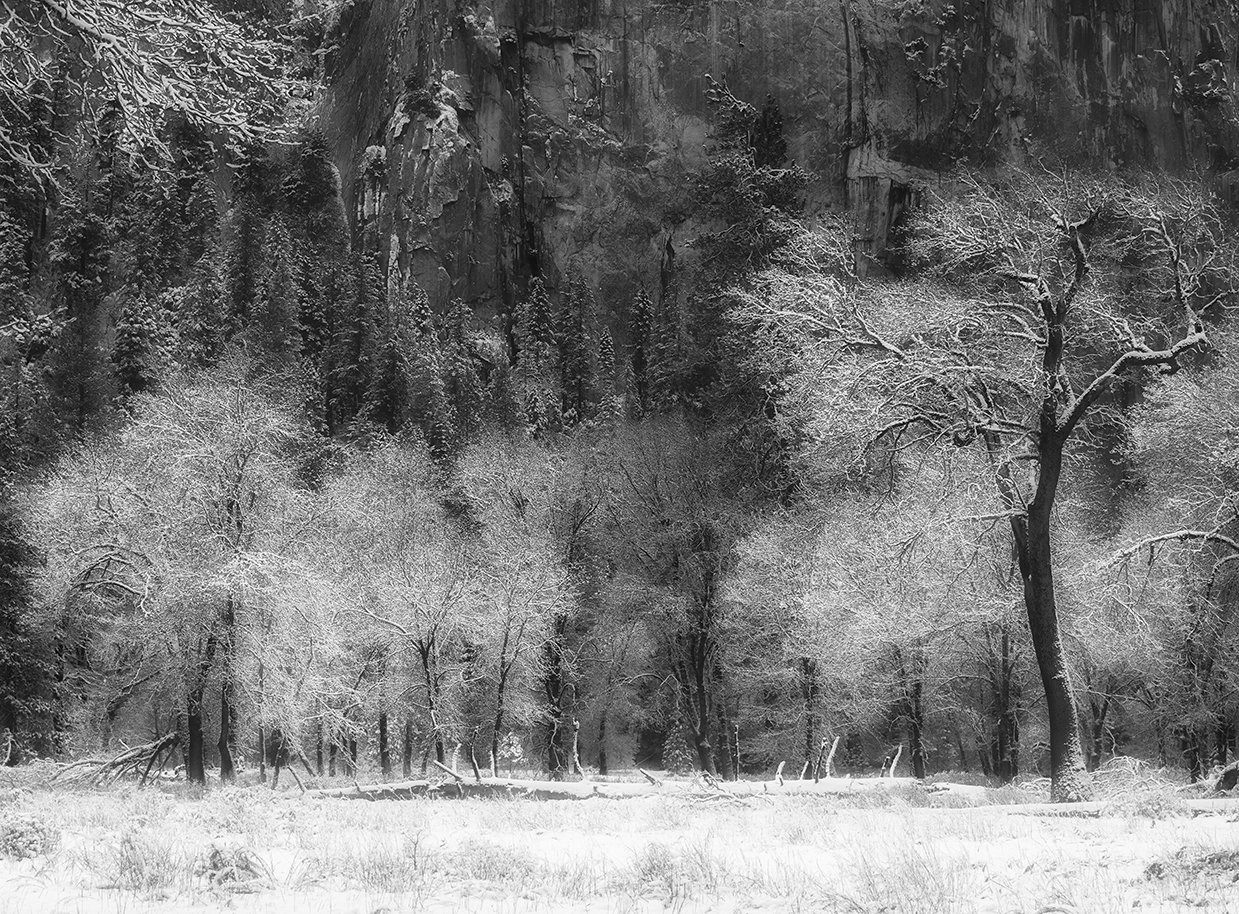 Oaks and Granite, Yosemite