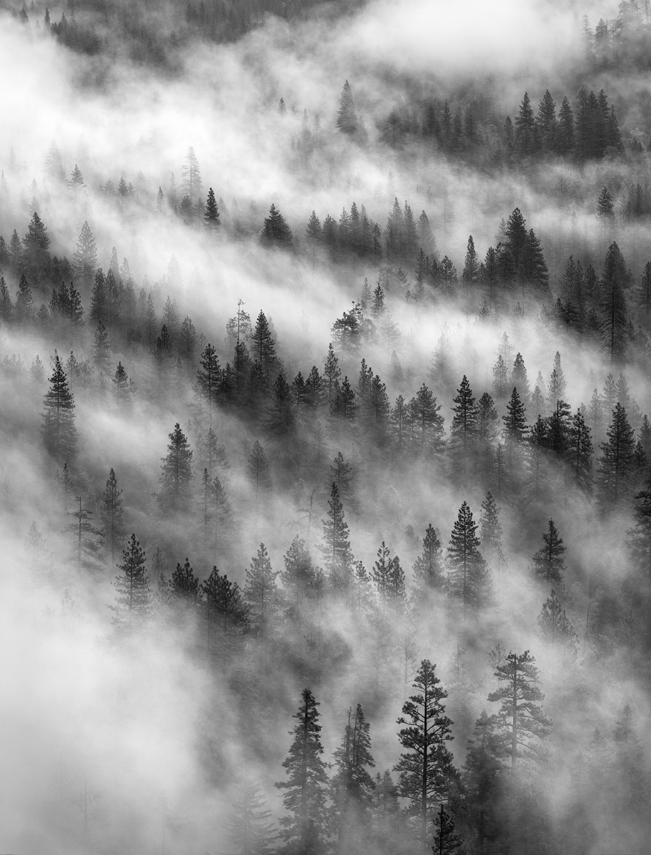 Rising Mist, Valley Floor, Yosemite