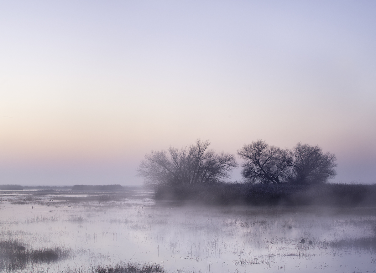 Winter Sunrise, San Joaquin Valley Wetlands