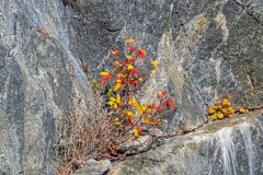 Fall Colors & Granite by Helen Gigliotti