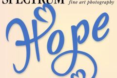 Hope Online Exhibition