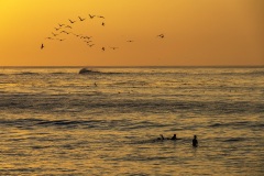 Sunset Surfers Asilomar by Joan K. Sharma