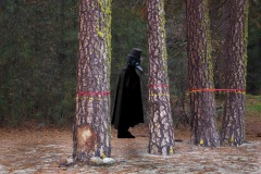 Plague Doctor Among Condemned Trees by Wendy Denton