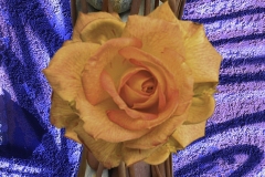 Rose on a Pillar by Jeff Hill